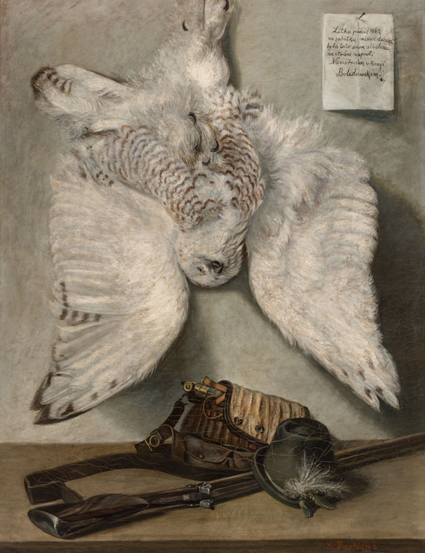 Karel Purkyně - Snowy Owl