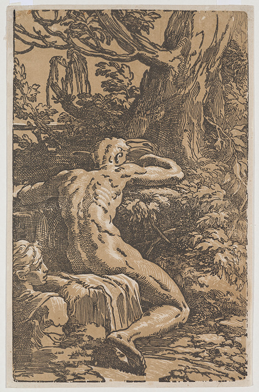 Antonio da Trento - engraver, Francesco Mazzola (called Parmigianino) - inventor - Narcissus and Echo