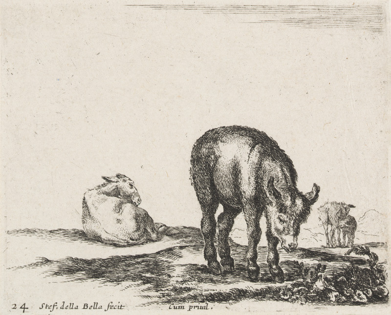 Stefano della Bella - engraver - Donkey