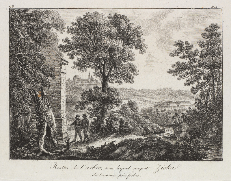 Pauline Schwarzenberg - engraver - Tree Stub near Borovany, under which Žižka of Trocnov Was Born