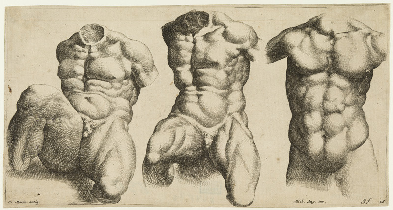 Jan de Bisschop - engraver, Michelangelo Buonarroti - inventor - Male torsos modelled on Classical marble statues and on Michelangelo’s design