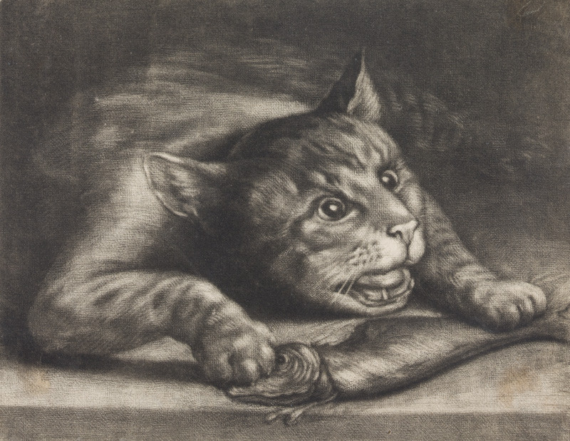 Wallerant Vaillant - engraver - Cat with a Stolen Fish