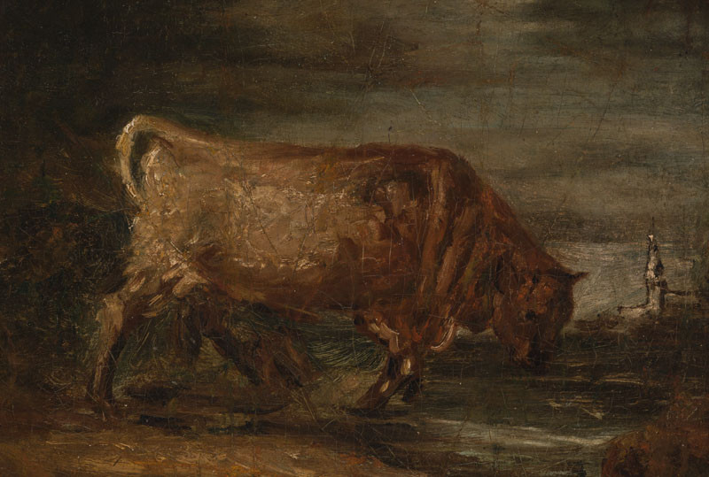 Karel Purkyně - A Bull in the Bog