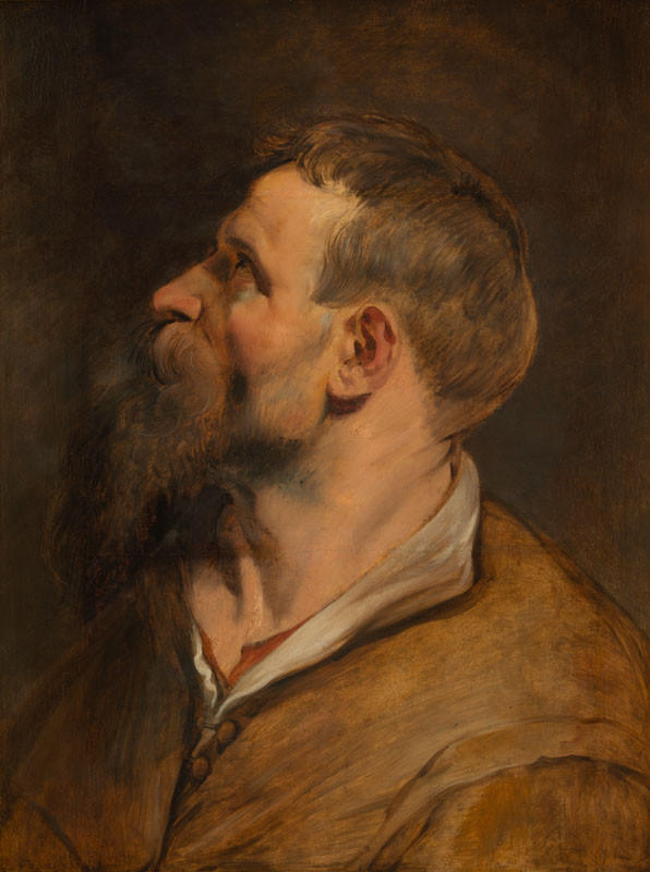 Peter Paul Rubens - Studie hlavy muže v profilu
