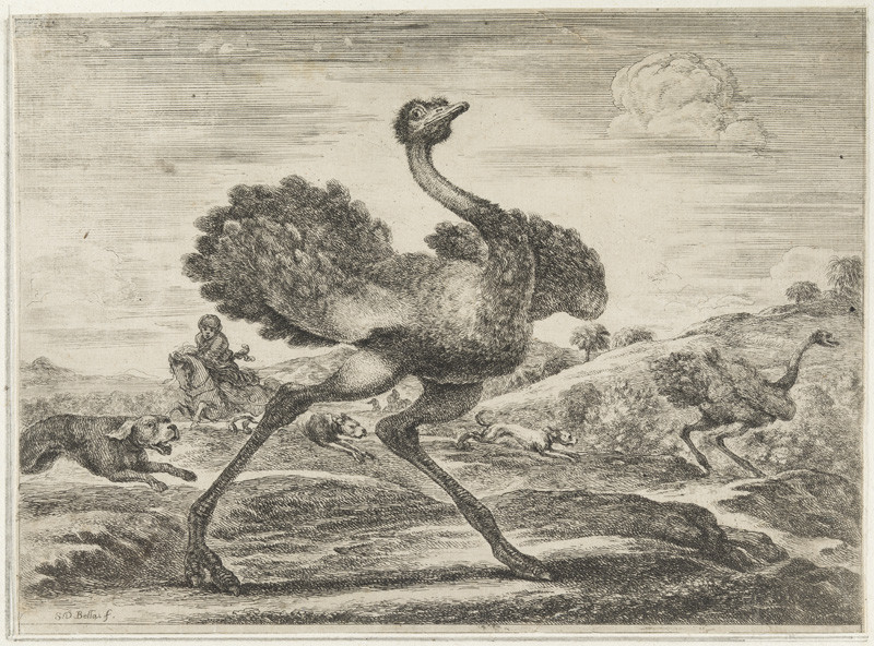 Stefano della Bella - engraver - Ostrich Hunt