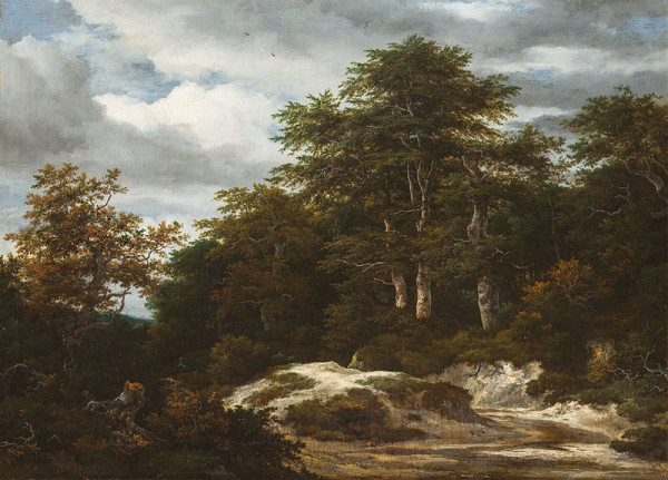 Jacob Isaacksz. van Ruisdael - Lesní krajina s potokem 