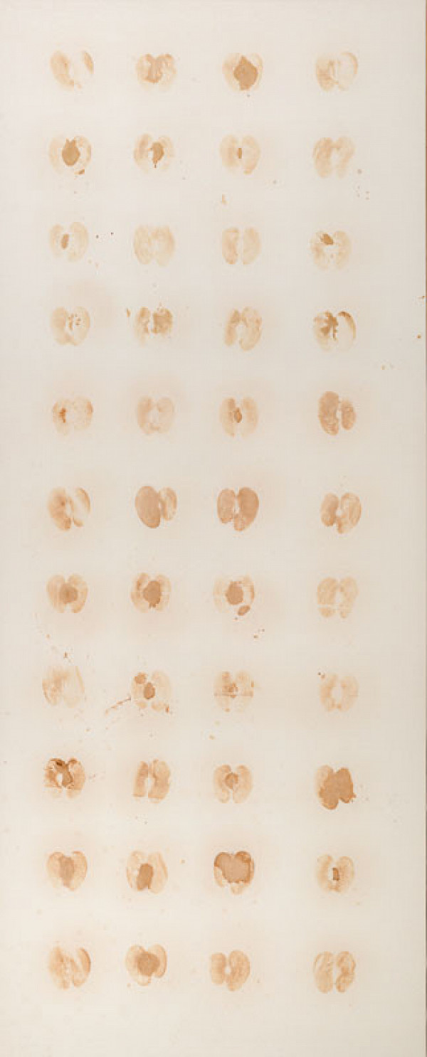 Jiří Georg Dokoupil - 44 jablek 