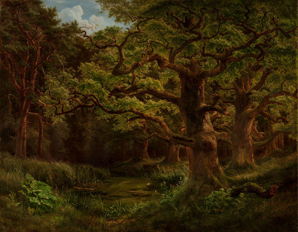 Bedřich Havránek - Les v Cholticích u Pardubic 