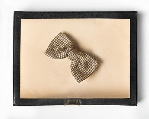 Jiří Hynek Kocman - První adjustovaný motýlek 