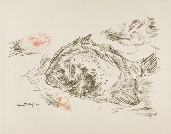 Oskar Kokoschka - Praotec ryb 