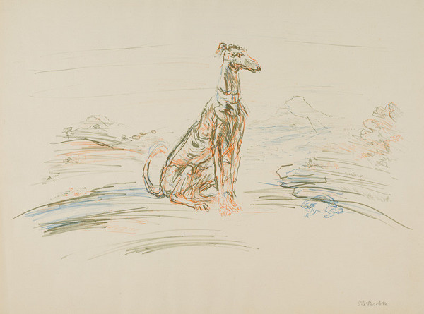 Oskar Kokoschka - Chrt 