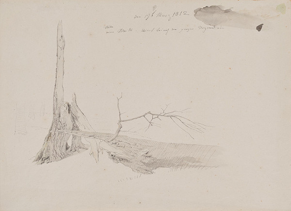 Caspar David Friedrich - Tree Stump 