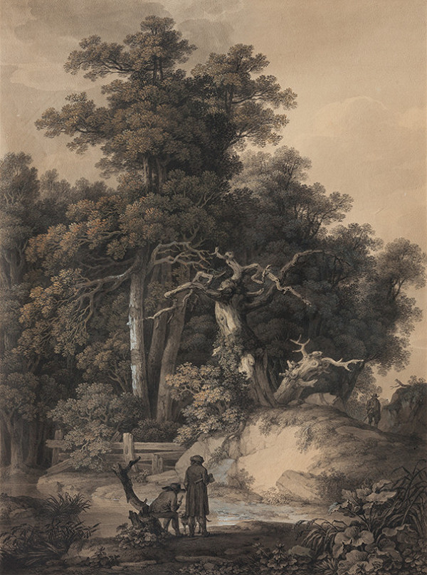 Karel Postl - Sylvan Landscape 