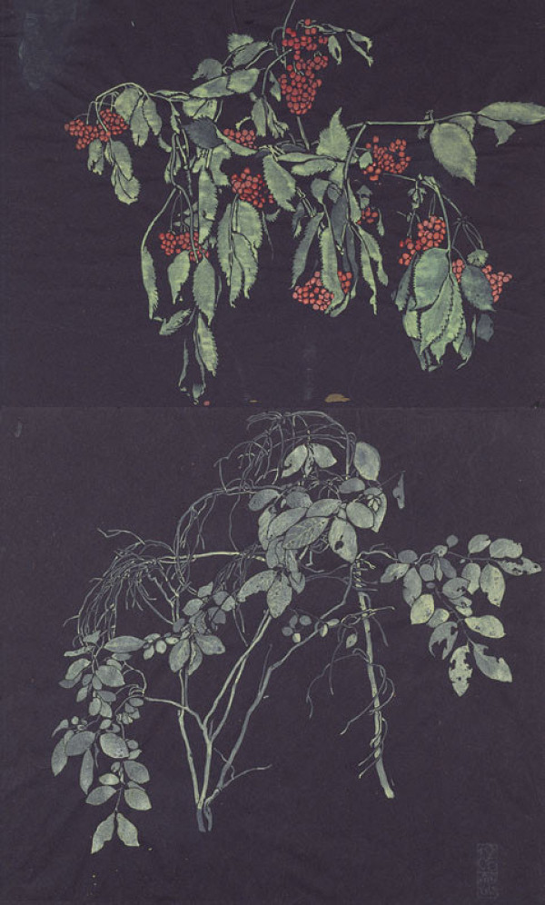 Carl Otto Czeschka - Bilberry and Sambucus Twigs 