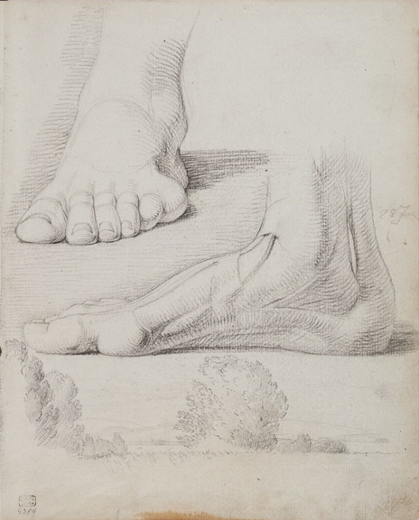 František Tkadlík - Sheet from Sketchbook C - anatomical study of feet; landscape sketch 