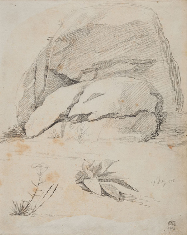 František Tkadlík - Sheet from Sketchbook C - study of boulders and flowers 