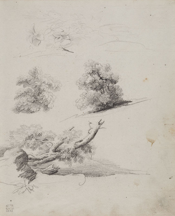 František Tkadlík - Sheet from Sketchbook C - studies of shrubs and branches 