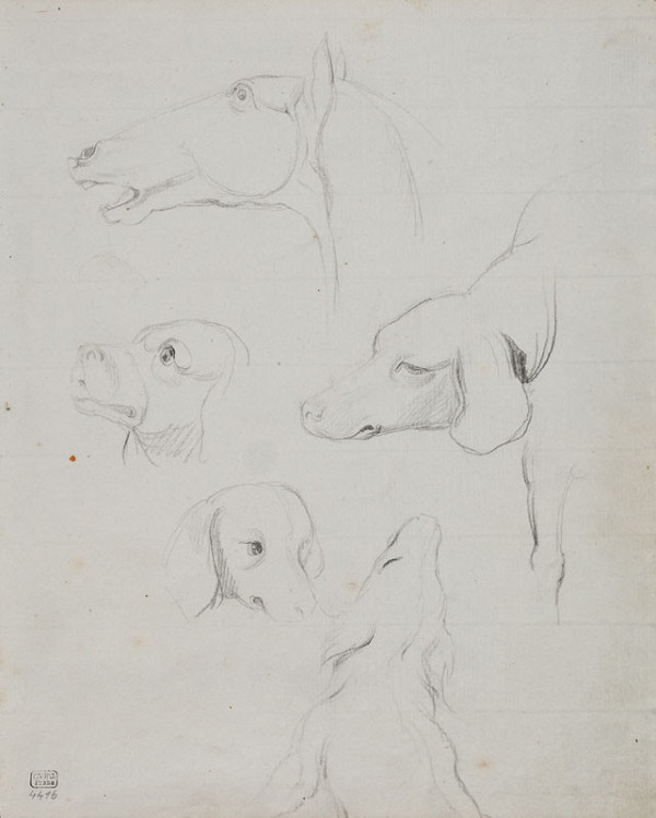 František Tkadlík - Sheet from Sketchbook C - sketches of the heads of dogs and horses 