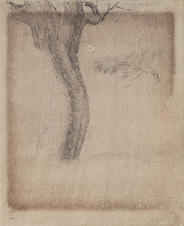 František Tkadlík - Sheet from Sketchbook C - study of a tree trunk for the drawing The Sacrifice of Cain and Abel 