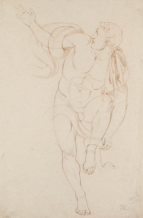 František Tkadlík - Study of Laocoon’s Son (Youth Strangled by Serpents) 