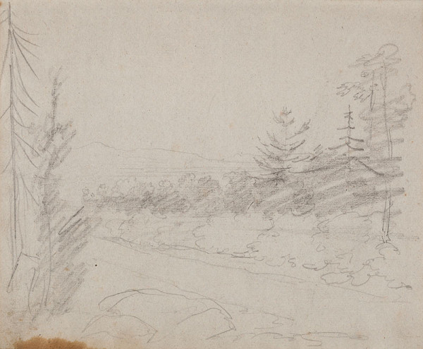 František Tkadlík - Sheet from Sketchbook A - forest path 