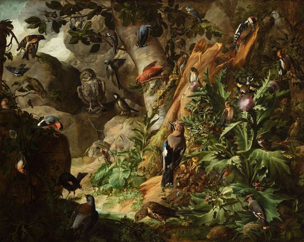 Johann Rudolf Bys - Birds in the Wild I. 