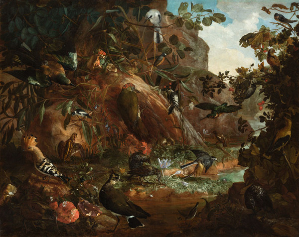 Johann Rudolf Bys - Birds in the Wild ll. 