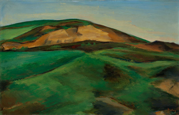 Václav Rabas - Krušovice Fields 