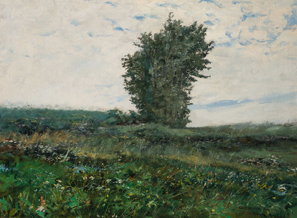 František Kaván - A Piece of Meadow in Spring 