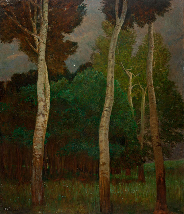 Eduard Ameseder - Before the Storm 