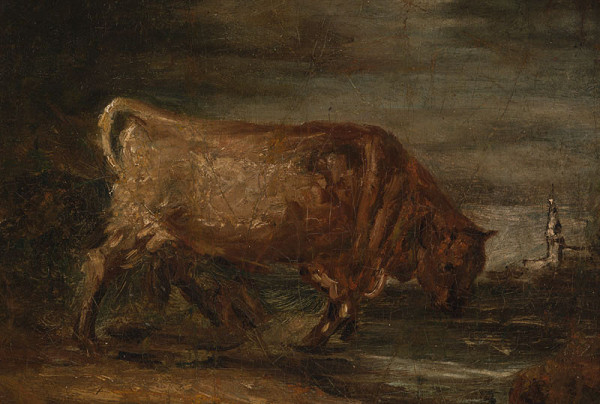 Karel Purkyně - A Bull in the Bog 
