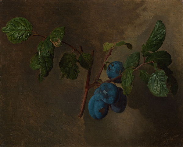 Josef Navrátil - Plums with a Twig 