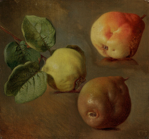 Josef Navrátil - Quinces 