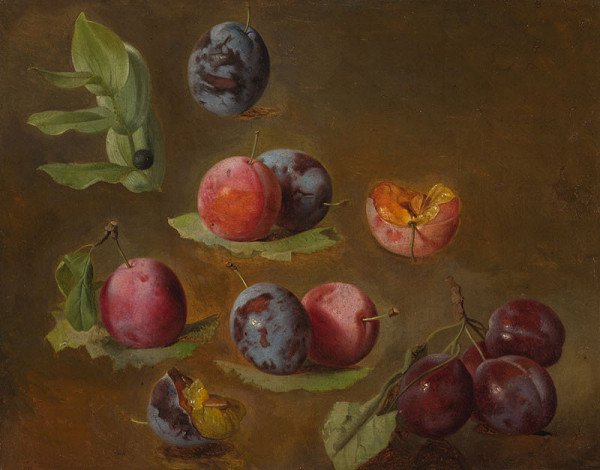Josef Navrátil - Plums 