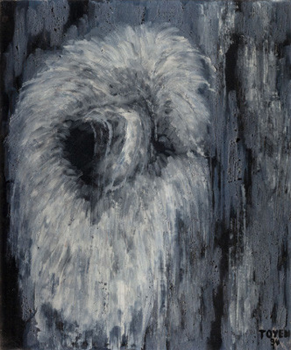 Toyen - Voice of the Forest 