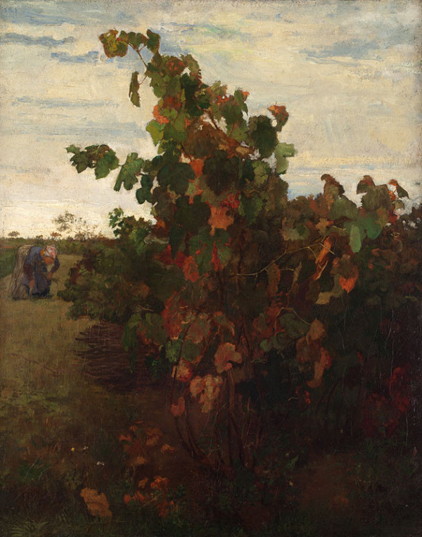 Hippolyt Soběslav Pinkas - Vine 