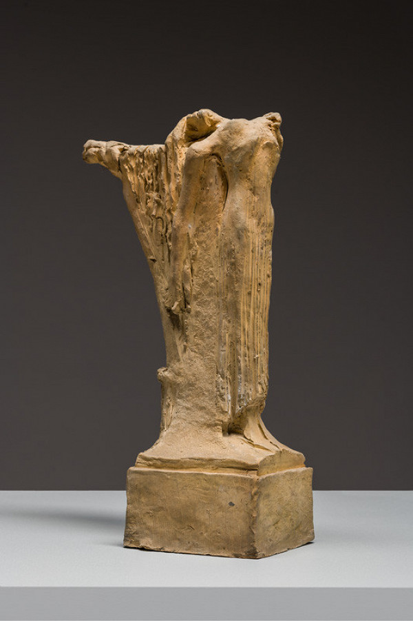 Stanislav Sucharda - Study 