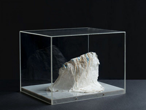 Adriena Šimotová - Dead Head 