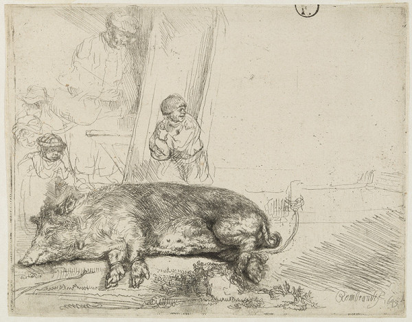 Rembrandt Harmenszoon van Rijn - The hog 
