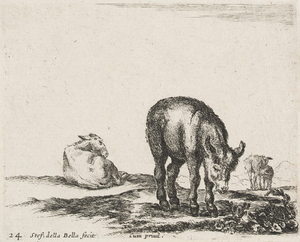 Stefano della Bella - engraver - Donkey 