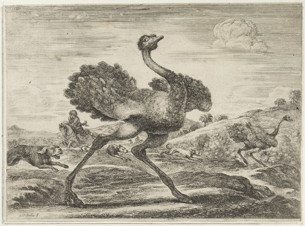 Stefano della Bella - engraver - Ostrich Hunt 