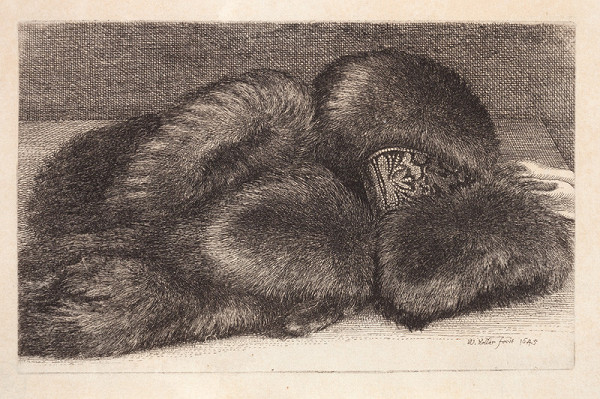 Václav Hollar - engraver - Still Life with Muff Muff with Brocade Band and with Furs 