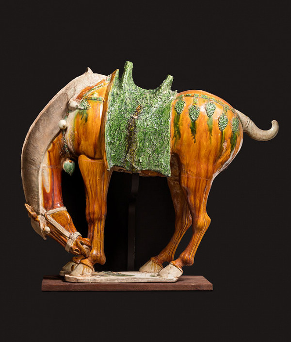 Anonymous - Noble horse 