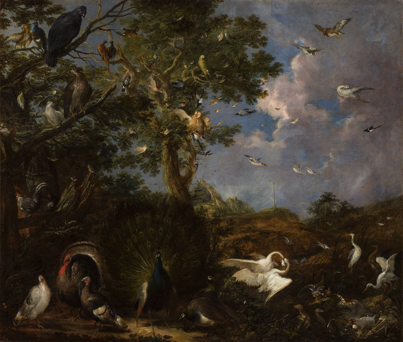 Wenzel Lorenz Reiner - Birds in a Landscape with a Decoy