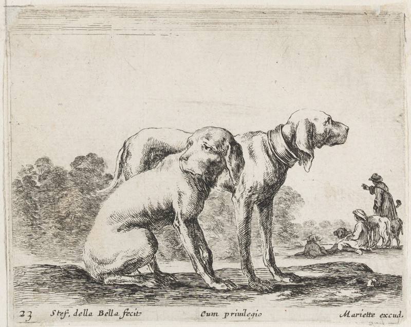 Stefano della Bella - engraver - Dogs