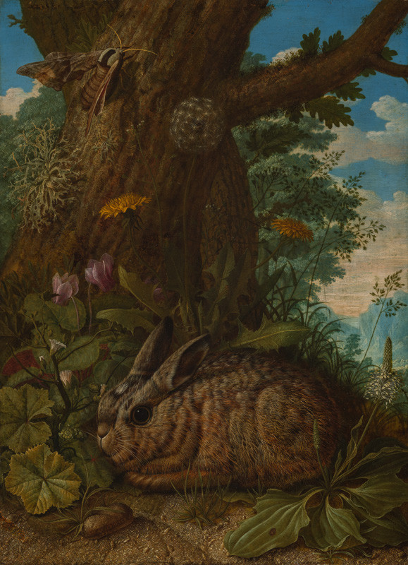Johann Adalbert Angermayer - Resting Hare