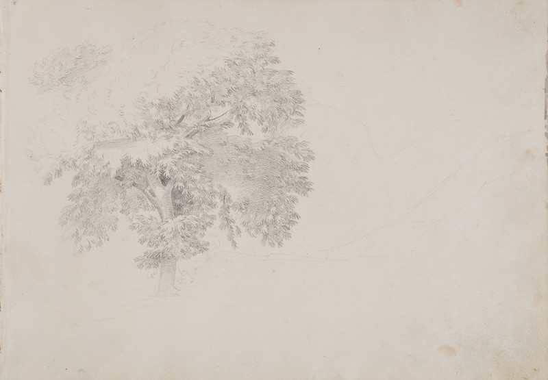 František Tkadlík - Sheet from the Southern Italian Sketchbook - sketch of trees