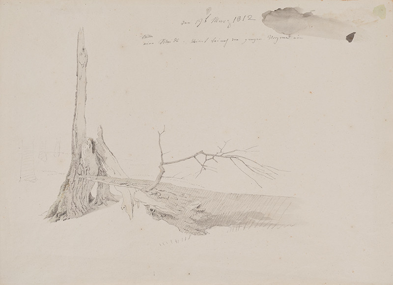 Caspar David Friedrich - Pahýl stromu