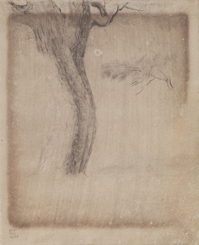 František Tkadlík - Sheet from Sketchbook C - study of a tree trunk for the drawing The Sacrifice of Cain and Abel