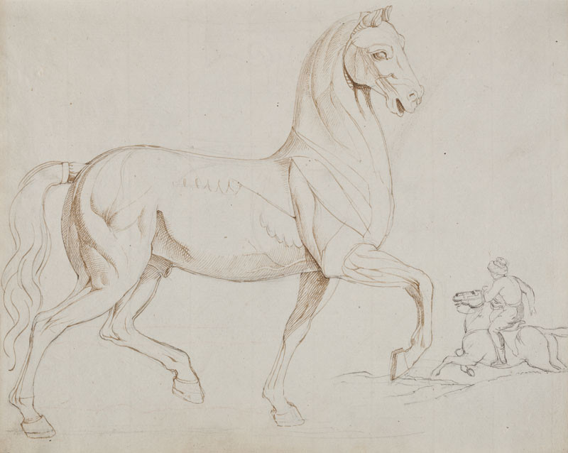 František Tkadlík - List v náčrtníku C - anatomická studie koně - jezdec na koni